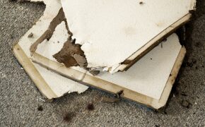 Recycling plasterboard waste