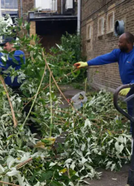 Before and after garden clearance service by WeClearJunk London